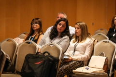 IMG_2213 copy