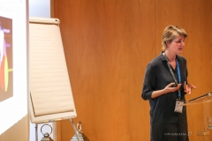 IMG_2248 copy