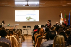IMG_3356 copy